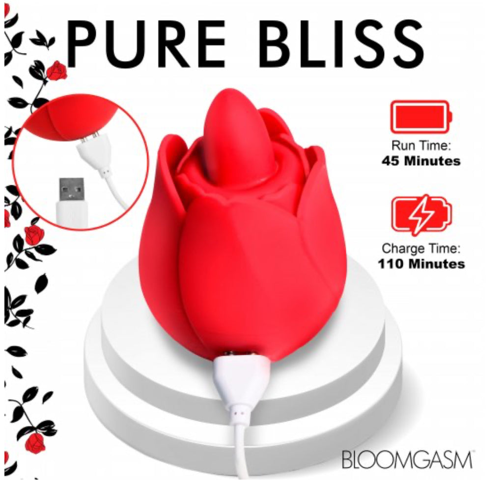 Pure Bliss Rose Kiss